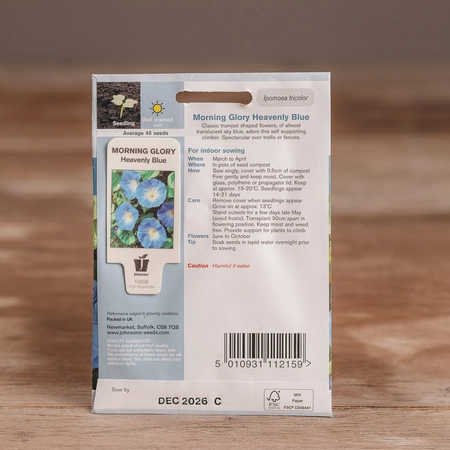 Morning Glory Heavenly Blue - image 2