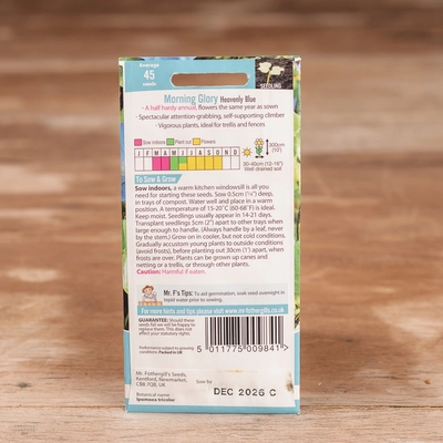 Morning Glory Heavenly Blue - image 2