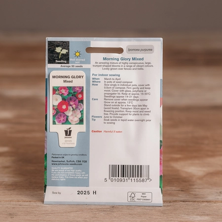 Morning Glory Mixture - image 2