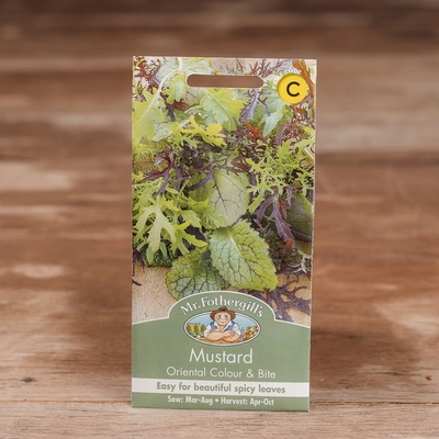 Mustard Colour & Bite - image 1