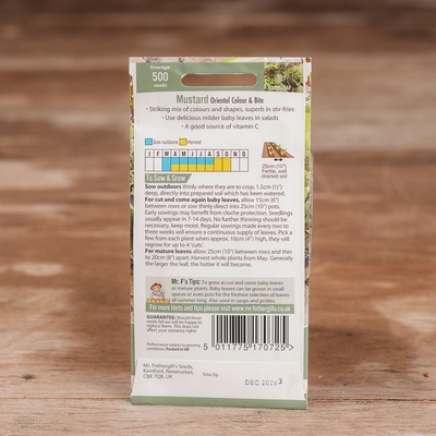 Mustard Colour & Bite - image 2