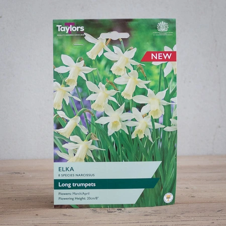 Narcissi Elka