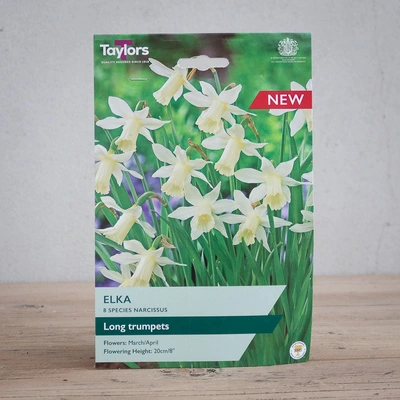Narcissi Elka