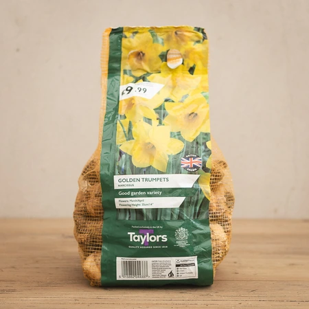 Narcissi Golden Trumpets 2kg