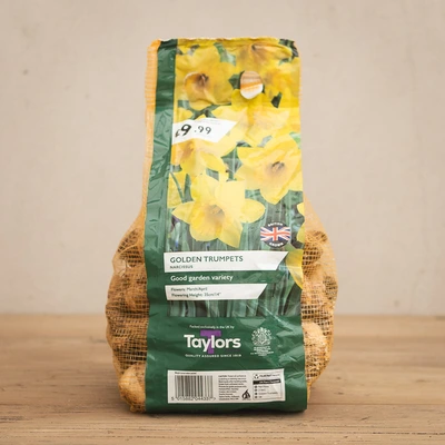 Narcissi Golden Trumpets 2kg