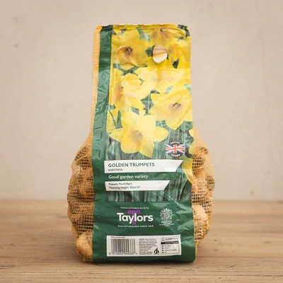 Narcissi Golden Trumpets 2kg