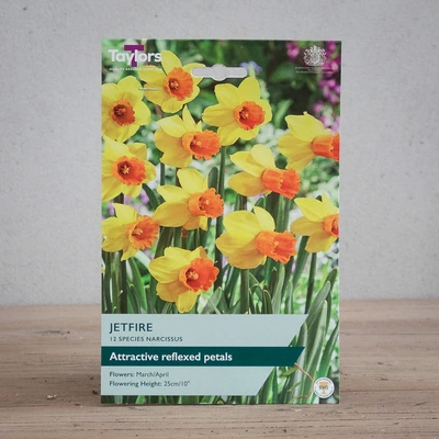 Narcissi Jetfire