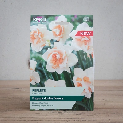 Narcissi Replete