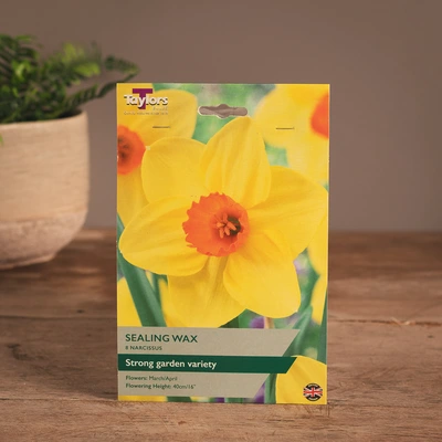 Narcissi Sealing Wax