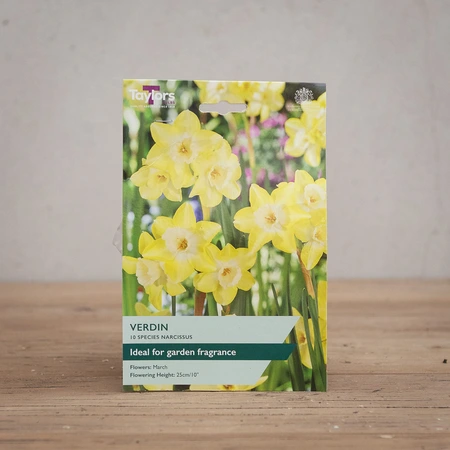Narcissi Verdin