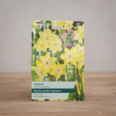 Narcissi Verdin