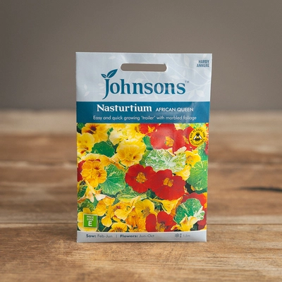 Nasturtium African Queen - image 1