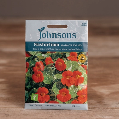 Nasturtium Alaska Tip Top Red - image 1