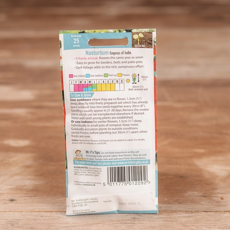 Nasturtium Empress Of India - image 2