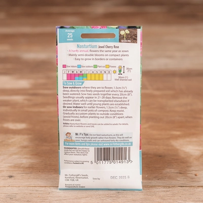 Nasturtium Jewel Cherry Rose - image 2