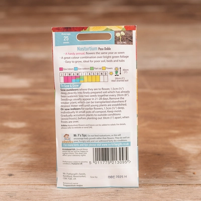Nasturtium Paso Doble - image 2