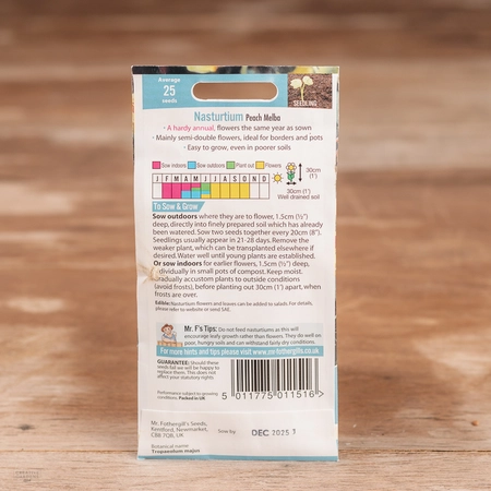 Nasturtium Peach Melba - image 2