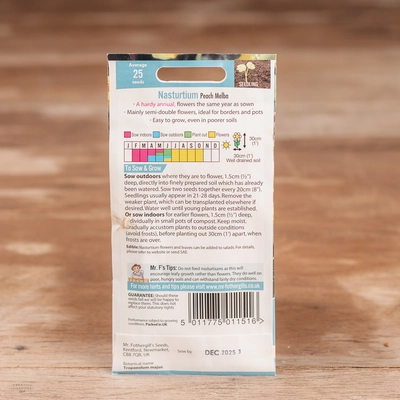 Nasturtium Peach Melba - image 2