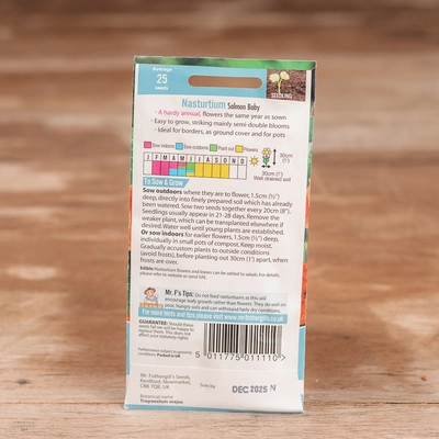 Nasturtium Salmon Baby - image 2