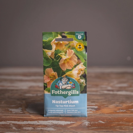 Nasturtium Tip Top Pink Blush - image 1