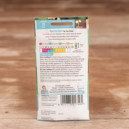 Nasturtium Tip Top Velvet - image 2