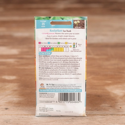 Nasturtium Tom Thumb - image 2