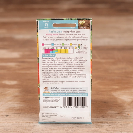 Nasturtium (Trailing) African Queen - image 2