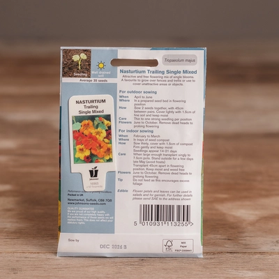 Nasturtium Trailing Single Mix - image 2