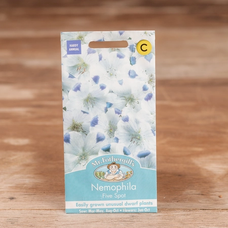 Nemophila Five Spot - image 1