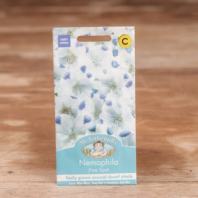 Nemophila Five Spot - image 1