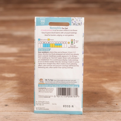 Nemophila Five Spot - image 2