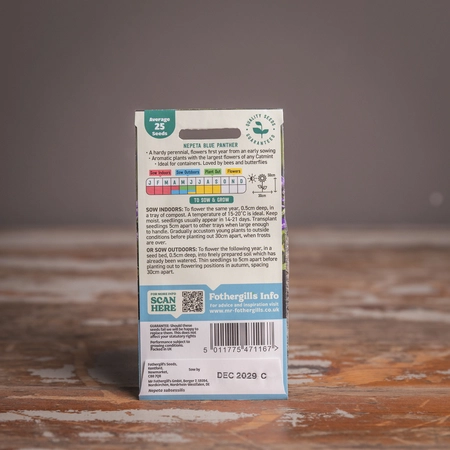 Nepeta Blue Panther - image 2