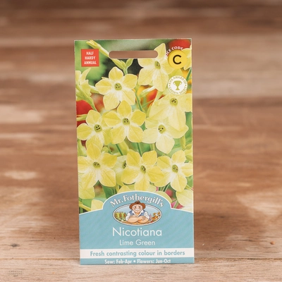 Nicotiana Lime Green - image 1