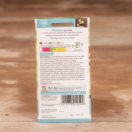 Nicotiana Lime Green - image 2