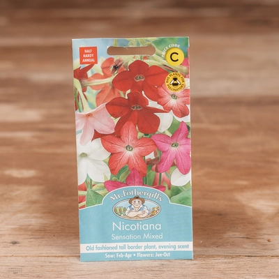 Nicotiana Sensation Mix - image 1