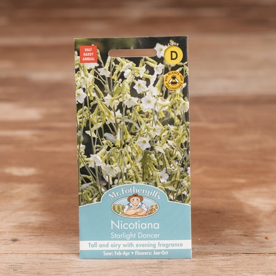 Nicotiana Starlight Dancer - image 1