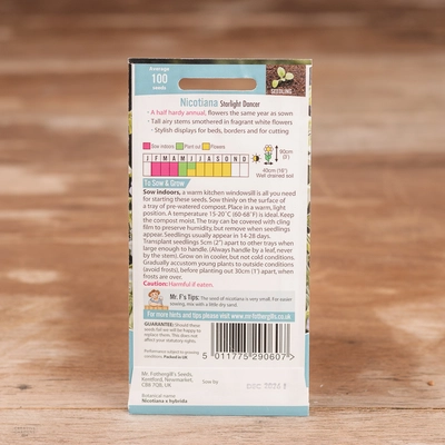 Nicotiana Starlight Dancer - image 2