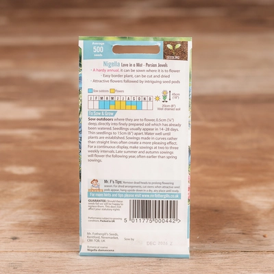 Nigella Love In A Mist - Persian Jewels - image 2