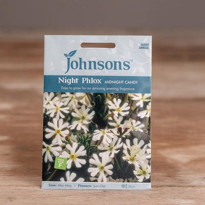 Night Phlox Midnight Candy - image 1