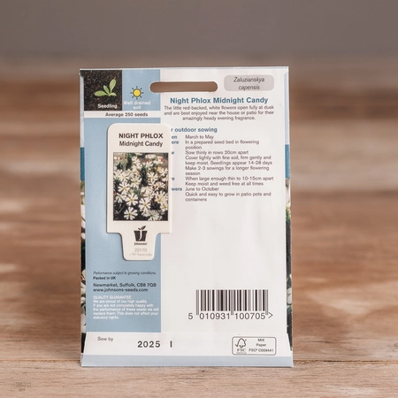 Night Phlox Midnight Candy - image 2