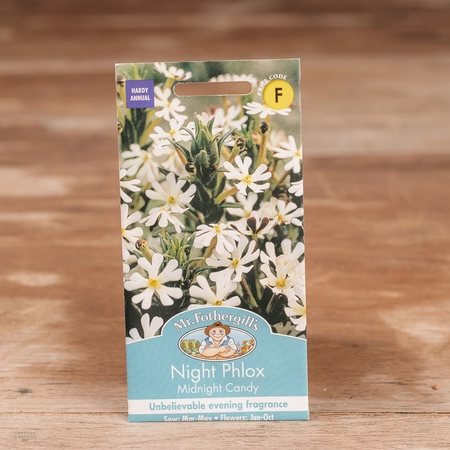 Night Phlox Midnight Candy - image 1