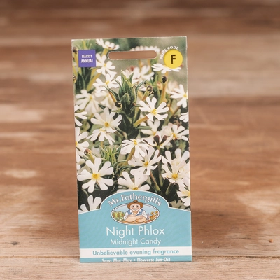 Night Phlox Midnight Candy - image 1