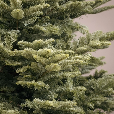 Noble Fir Real Christmas Tree