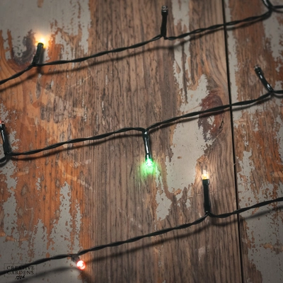 Noma Fit & Forget LED String Lights - Multicoloured