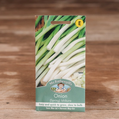 Onion (Spring) Ishikura - image 1