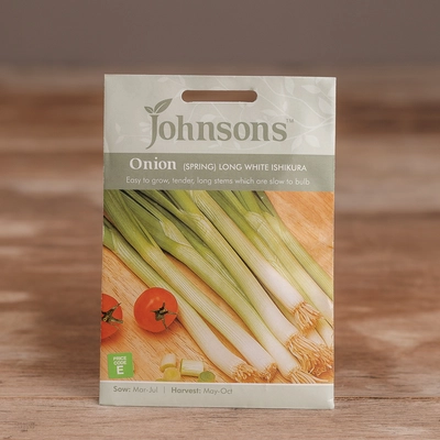 Onion (Spring) Long White Ishikura - image 1