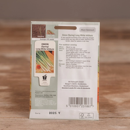 Onion (Spring) Long White Ishikura - image 2
