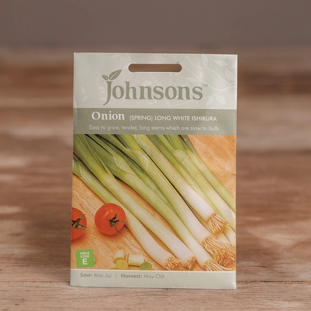 Onion (Spring) Long White Ishikura - image 1