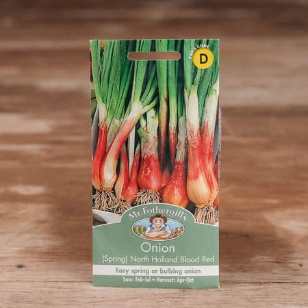 Onion (Spring) North Holland Blood Red - image 1