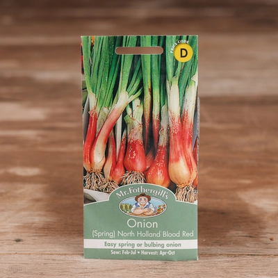 Onion (Spring) North Holland Blood Red - image 1